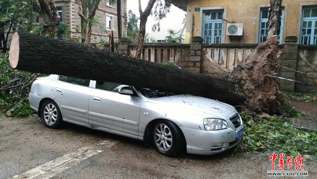 超强台风莫兰蒂重创厦门|厦门|台风|宿舍