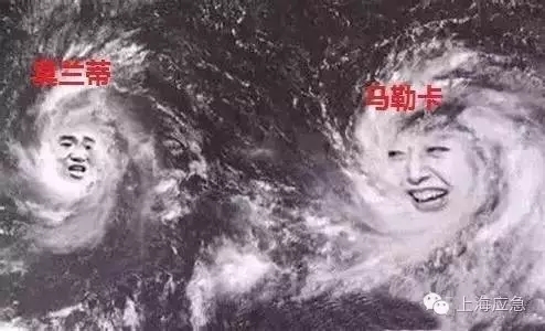图说：16号台风“马勒卡”奔向我国东海 来源：上海应急