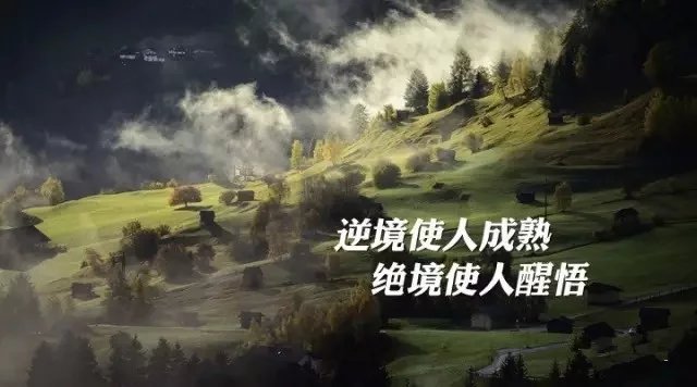 粉金砌银:沥青白银遭滑铁卢支撑难 天然气蓄势