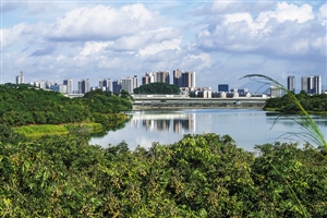 光明新区揽人才送奖金又送发展空间