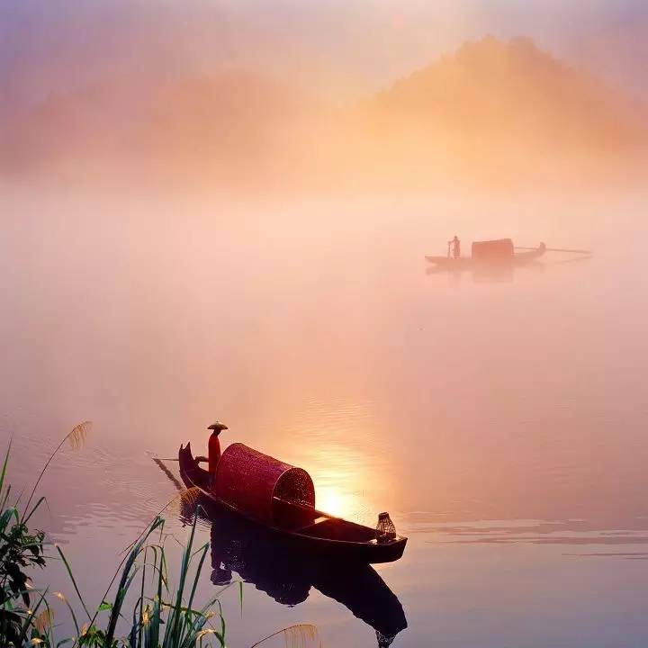 夜读 | 秋分:风清露冷秋期半 桂子飘香远