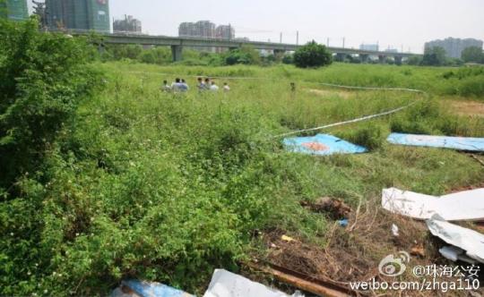 21日上午，珠海警方在该市梅界路附近密集草丛中发现一具疑似失踪小女孩刘芷歆的尸体，图为珠海警方通过官方微博公布的图片。 珠海公安 摄
