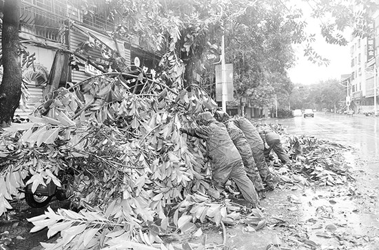 石狮边防大队联合驻地党委政府开展台风灾后重