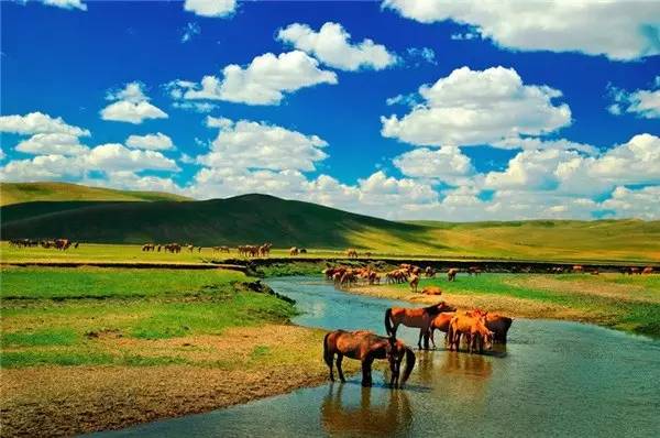 再过一个月,内蒙古这12个地方将惊艳全国…|内