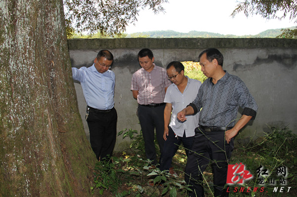 刘昌顺到龙山县洛塔,八面山调研旅游文化工作
