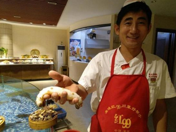 万中无一的白海参现身青岛 曾卖出一斤16万天