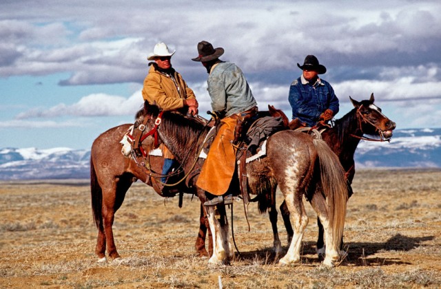 美国牛肉价格暴跌!将恢复对华出口 引养牛业心