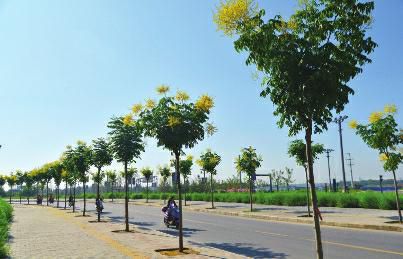 一碧千里的景观不是梦|航天|基地|工程