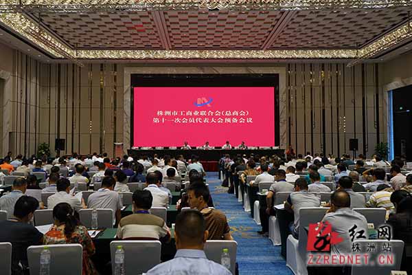 杨胜跃当选株洲市工商联第十一届主席|工商联