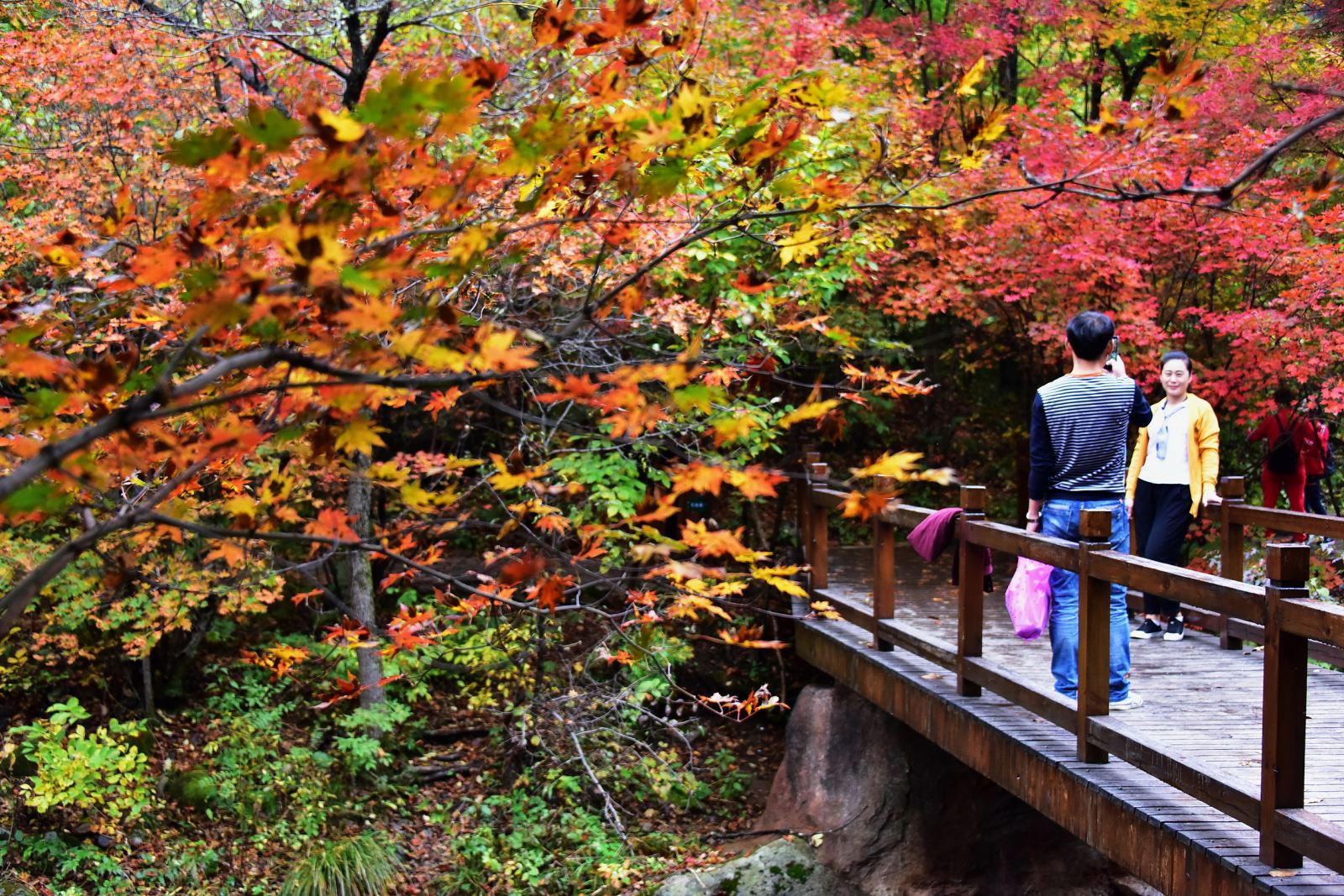辽宁本溪的红与黑:一座重工业城市如何变绿|
