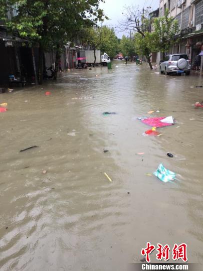 台风鲇鱼挟风带雨 浙江苍南34万人受灾|台风