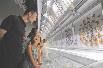 亚洲最大昆虫博物馆馆长赵力:用户节上,我会给