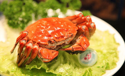 南吃逛玩 做一枚行走的吃货|吃货|去哪儿网|苏