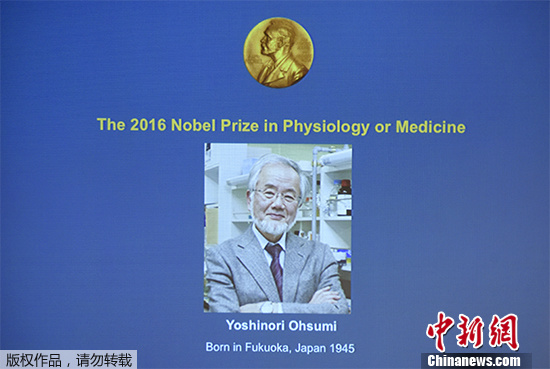 当地时间3日中午11时30分，2016年诺贝尔生理学或医学奖授予日本分子细胞生物学家大隅良典（Yoshinori Ohsumi），以表彰他发现了细胞自噬的机制。