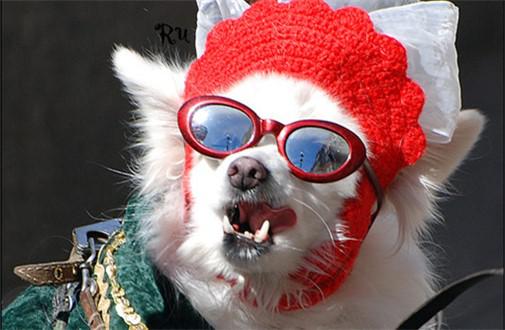 【财经日历】非农VS美副总统竞选辩论 谁才是