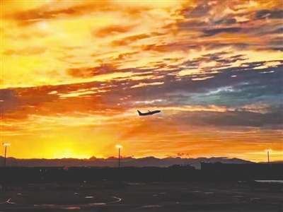 成都颜值引各界共鸣|成都|奖金|票数