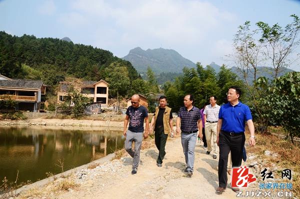 国庆各省旅游收入排行_张家界乡村旅游收入