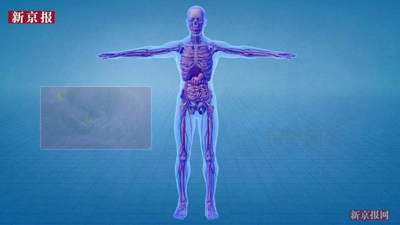 3D:假期告罄你还在病榻?都是休闲病捣的鬼!