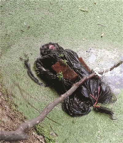 抛尸现场.