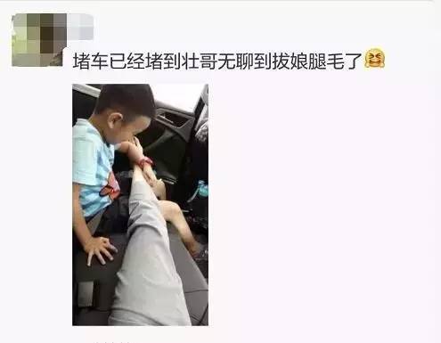 十一长假,除了堵车,还发生了这些奇葩事!