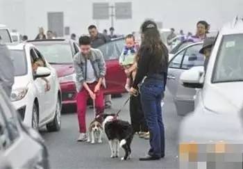 十一长假,除了堵车,还发生了这些奇葩事!