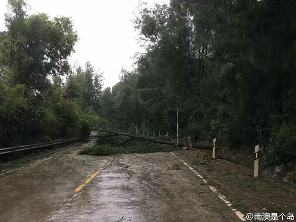 台风艾利携手冷空气 广东东部风大雨急|大雨