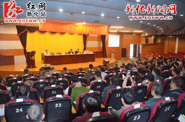 种植油茶收入怎样_江西瑞金对2016年度全市油茶种植情况检查验收