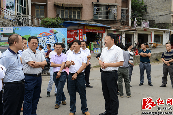 李卫林视察督办麻阳县政协六届四次会议重点提