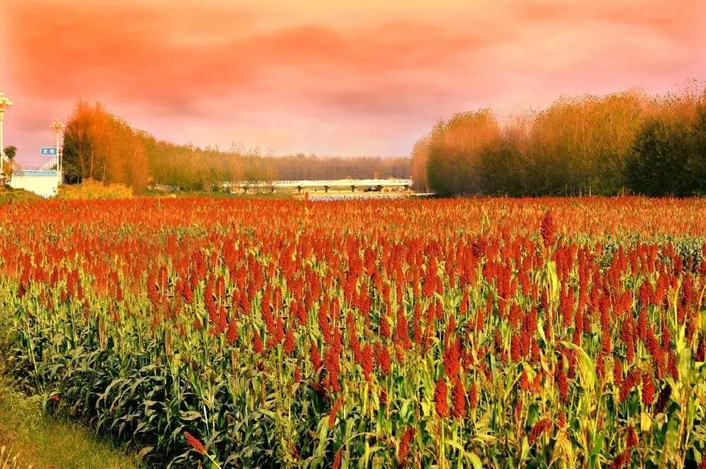 有个故事,我想讲给你听…