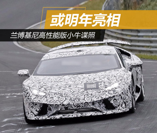 兰博基尼高性能版小牛谍照 或明年亮相
