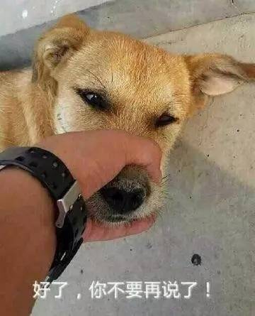 吐槽部魔性剧:神一样的女尊世界让我蓝瘦|女尊