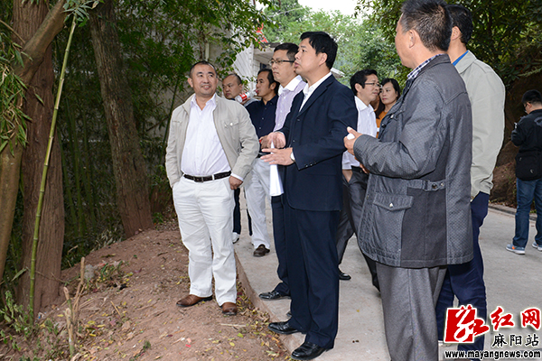 李兴华调研麻阳县美丽乡村示范村建设工作|