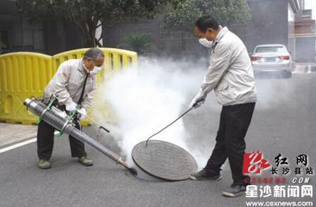 长沙县城区开展第二轮灭蚊蝇蟑螂 月底将集中