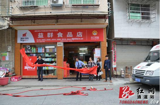 通道首批村级电子商务驿站开业|电子商务|驿站