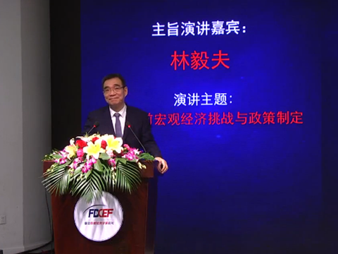 林毅夫:中国经济下滑主要原因是外部性、周期