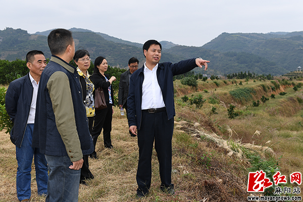 李兴华视察督办麻阳县政协重点提案|合作社|李