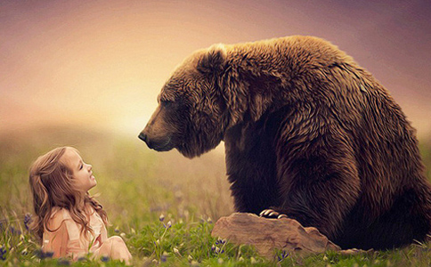 ?新手怎么看现货原油行情盘面 如何趋势做单减