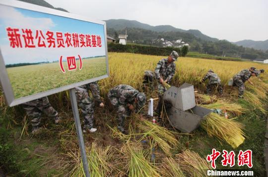 浙江奉化新进公务员基层学习记:入农门懂农