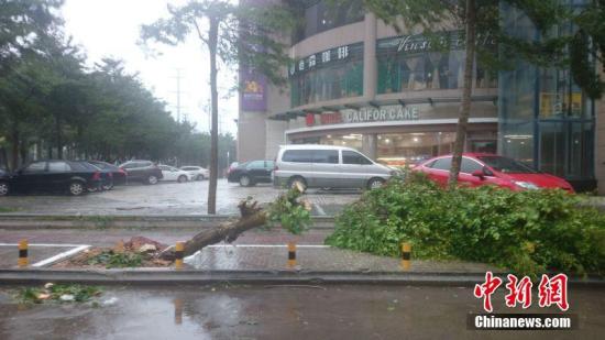 台风莎莉嘉在海南万宁沿海登陆 最大风力14