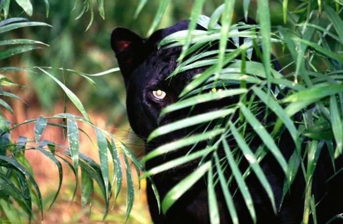 映雪点金:10.21台风海马登陆广东,支付宝提现收