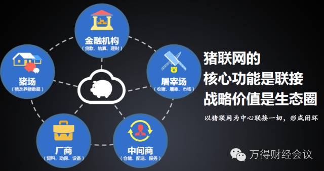 中国农业产业结构调整中挖掘10倍牛股!_财经头