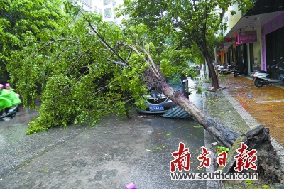 海马登陆汕尾 10级风劲吹10小时|登陆|台风|汕