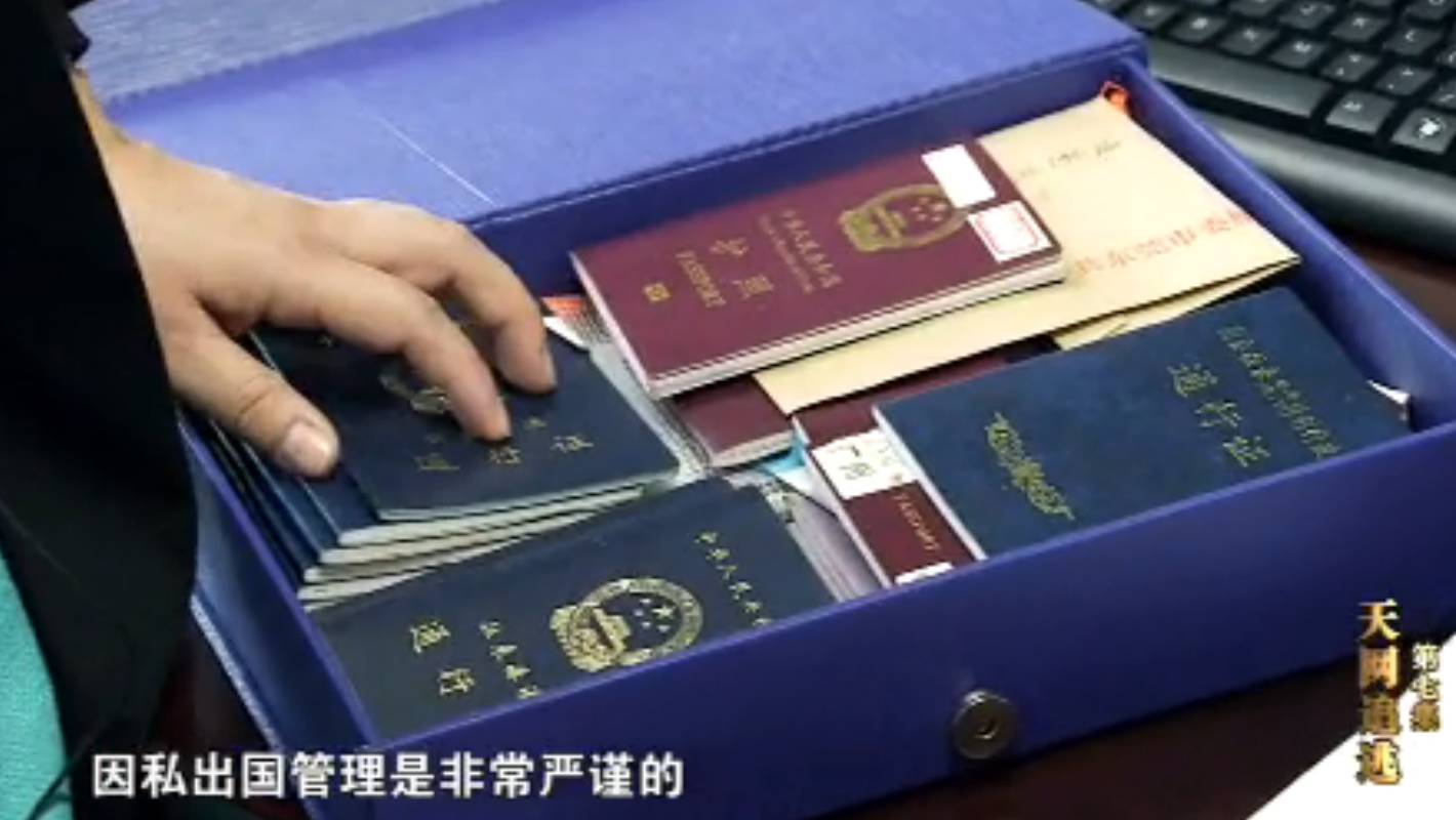 天网恢恢疏而不漏,天网在哪?看了就知道!