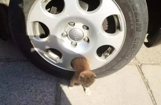 气温骤降,热车务必注意这件事