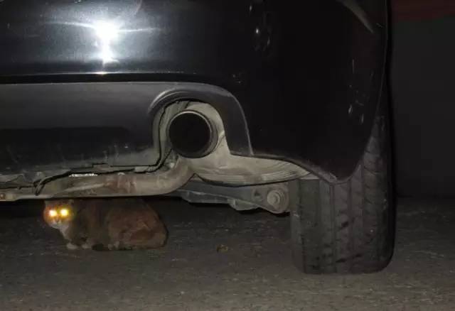 气温骤降,热车务必注意这件事