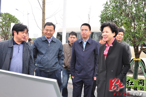 张迎春调研长沙市望城交通项目建设工作
