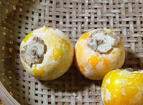 ��� | �ĳ�3136����۵�дʵ�ͻ�