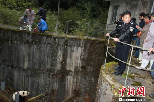 救援。(手机拍摄) 钟欣 摄