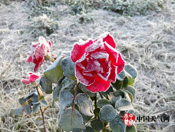 山东近六成县市气温破冰点 济南开始预供暖|气