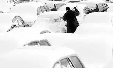 天冷了,你开车前拍过引擎盖吗?